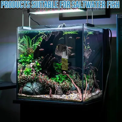 Algenverteiler Goldfische Magnet Algenclip Aquarium Magnethalter Algenverteiler Goldfische Magnet Algenclip Aquarium Magnethalter