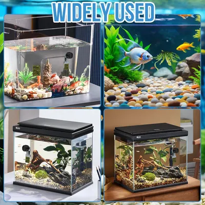 Algenverteiler Goldfische Magnet Algenclip Aquarium Magnethalter Algenverteiler Goldfische Magnet Algenclip Aquarium Magnethalter