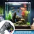 Algenverteiler Goldfische Magnet Algenclip Aquarium Magnethalter Algenverteiler Goldfische Magnet Algenclip Aquarium Magnethalter