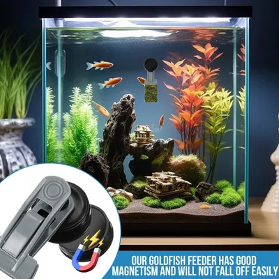 Algenverteiler Goldfische Magnet Algenclip Aquarium Magnethalter Algenverteiler Goldfische Magnet Algenclip Aquarium Magnethalter