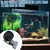 Algenverteiler Goldfische Magnet Algenclip Aquarium Magnethalter Algenverteiler Goldfische Magnet Algenclip Aquarium Magnethalter