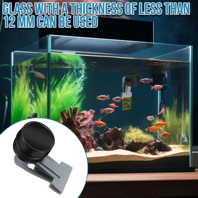 Algenverteiler Goldfische Magnet Algenclip Aquarium Magnethalter Algenverteiler Goldfische Magnet Algenclip Aquarium Magnethalter