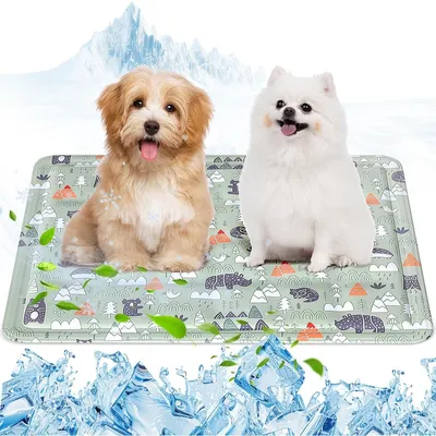 HausPets Kühlmatte Hund 50x60cm ungiftiges Gel HausPets Kühlmatte Hund 50x60cm ungiftiges Gel