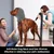 Tour de cou oreilles chien confort anxiété gris S Tour de cou oreilles chien confort anxiété gris S