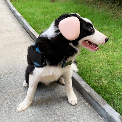 Cache oreilles chien protection auditive 29 dB NRR rose petit