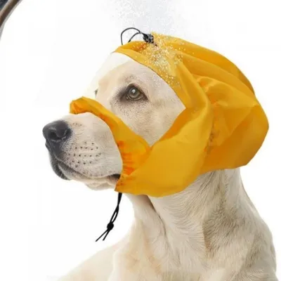 Capuche douche chien étanche - Toilettage, pluie, bain Capuche douche chien étanche - Toilettage, pluie, bain