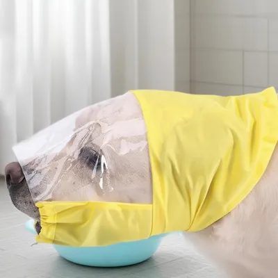 Capuche douche chien étanche - Toilettage, pluie, bain Capuche douche chien étanche - Toilettage, pluie, bain