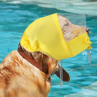 Capuche douche chien étanche - Toilettage, pluie, bain Capuche douche chien étanche - Toilettage, pluie, bain