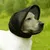 Casquette protection anti-morsure chien - Dressage, rando Casquette protection anti-morsure chien - Dressage, rando