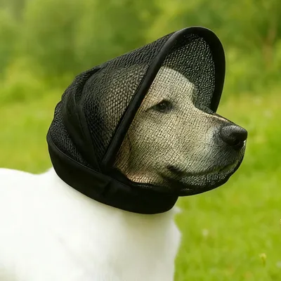 Casquette protection anti-morsure chien - Dressage, rando Casquette protection anti-morsure chien - Dressage, rando