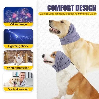Protège oreilles chien anti secousses capuche apaisante violet S