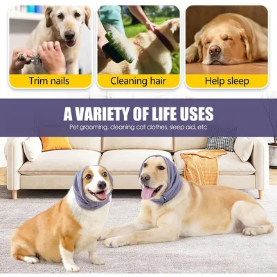 Protège oreilles chien anti secousses capuche apaisante violet S