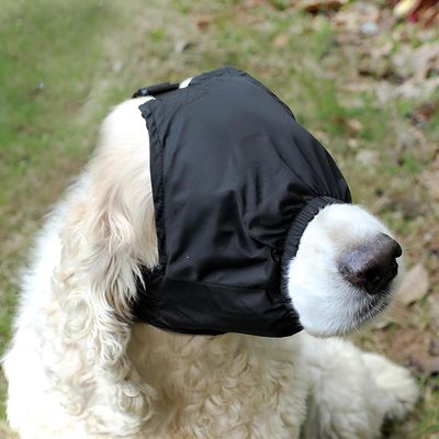 Masque apaisant yeux chien - Anti-anxiété, mal voiture M