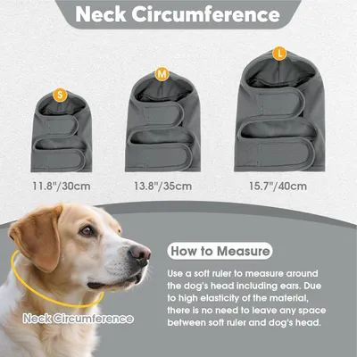 Bandeau anti-vent chien - Bain, séchage, tonnerre Bandeau anti-vent chien - Bain, séchage, tonnerre