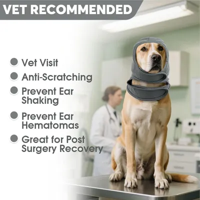 Bandeau anti-vent chien - Bain, séchage, tonnerre Bandeau anti-vent chien - Bain, séchage, tonnerre