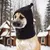Snood hiver chien - Couvre-oreilles, randonnée camping Snood hiver chien - Couvre-oreilles, randonnée camping