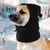 Snood hiver chien - Couvre-oreilles, randonnée camping Snood hiver chien - Couvre-oreilles, randonnée camping