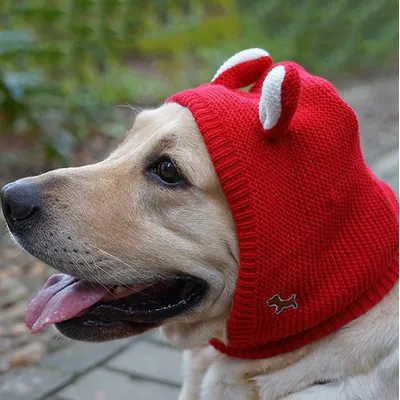 Chapeau chien oreilles silencieuses - Tricoté, anti-bruit Chapeau chien oreilles silencieuses - Tricoté, anti-bruit