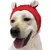 Chapeau chien oreilles silencieuses - Tricoté, anti-bruit Chapeau chien oreilles silencieuses - Tricoté, anti-bruit