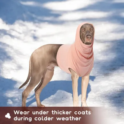 Snood chien cache cou protection oreilles post opératoire rose chair XL
