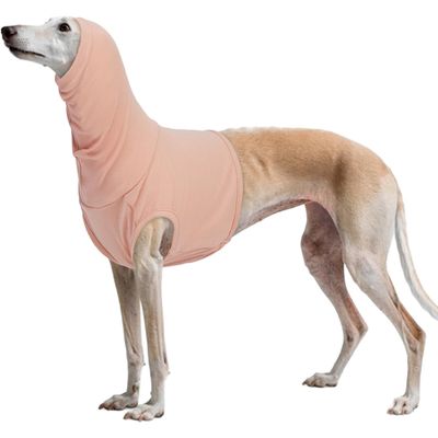 Snood chien cache cou protection oreilles post opératoire rose chair XL