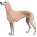 Snood chien cache cou protection oreilles post opératoire rose chair XL