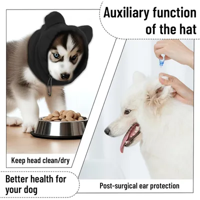 2 pièces casquette chien snood rouge noir S épais hiver 2 pièces casquette chien snood rouge noir S épais hiver