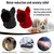 2 pièces casquette chien snood rouge noir S épais hiver 2 pièces casquette chien snood rouge noir S épais hiver