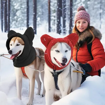2 pièces casquette chien snood rouge noir S épais hiver 2 pièces casquette chien snood rouge noir S épais hiver
