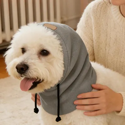 Bonnet hiver chien ajustable - Anti-bruit, extérieur, voiture Bonnet hiver chien ajustable - Anti-bruit, extérieur, voiture