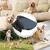 Protecteur tête chien doux - Extérieur, jardin, camping Protecteur tête chien doux - Extérieur, jardin, camping