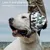 Cache-oreilles protection feux d’artifice - Anti-bruit chien Cache-oreilles protection feux d’artifice - Anti-bruit chien