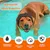 Cache oreilles bain chien étanche réduction bruit réglable bleu S Cache oreilles bain chien étanche réduction bruit réglable bleu S