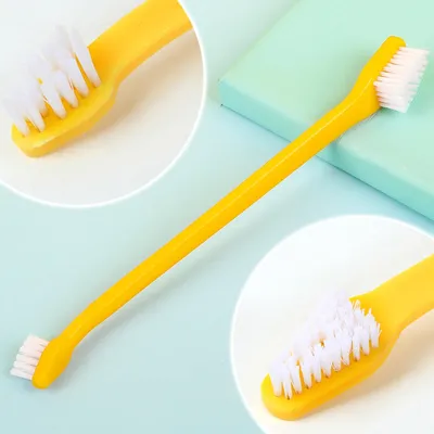 Ensemble de brosses à dents pour chiens et chats