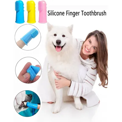 Lot de 10 brosses à dents pour chien et chat Lot de 10 brosses à dents pour chien et chat