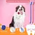 Lot de 10 brosses à dents pour chien et chat Lot de 10 brosses à dents pour chien et chat