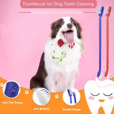 Lot de 10 brosses à dents pour chien et chat Lot de 10 brosses à dents pour chien et chat