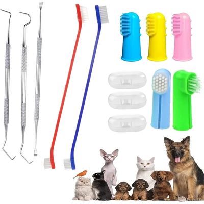 Lot de 10 brosses à dents pour chien et chat