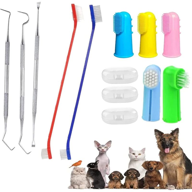 Lot de 10 brosses à dents pour chien et chat