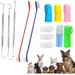 Lot de 10 brosses à dents pour chien et chat