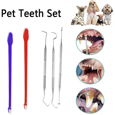Lot de 10 brosses à dents pour chien et chat Lot de 10 brosses à dents pour chien et chat
