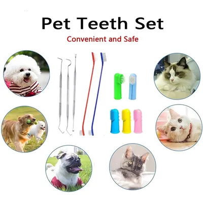 Lot de 10 brosses à dents pour chien et chat Lot de 10 brosses à dents pour chien et chat