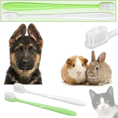 Lot 4 brosses à dents chien chat – Poils souples – Blanc/vert Lot 4 brosses à dents chien chat – Poils souples – Blanc/vert