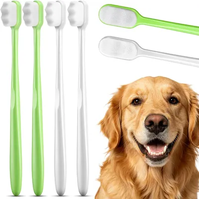 Lot 4 brosses à dents chien chat – Poils souples – Blanc/vert Lot 4 brosses à dents chien chat – Poils souples – Blanc/vert
