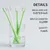 HausPets Lote 4 cepillos dentales perro gato – Blanco/verde HausPets Lote 4 cepillos dentales perro gato – Blanco/verde