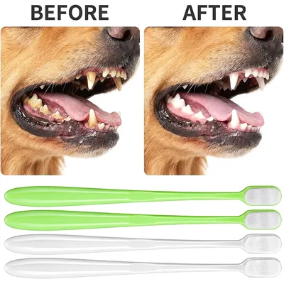 Lot 4 brosses à dents chien chat – Poils souples – Blanc/vert Lot 4 brosses à dents chien chat – Poils souples – Blanc/vert