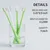 Lot 4 brosses à dents chien chat – Poils souples – Blanc/vert Lot 4 brosses à dents chien chat – Poils souples – Blanc/vert