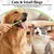 HausPets Lote 4 cepillos dentales perro gato – Blanco/verde HausPets Lote 4 cepillos dentales perro gato – Blanco/verde