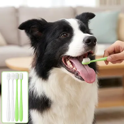 Lot 4 brosses à dents chien chat – Poils souples – Blanc/vert Lot 4 brosses à dents chien chat – Poils souples – Blanc/vert