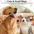 Lot 4 brosses à dents chien chat – Poils souples – Blanc/vert Lot 4 brosses à dents chien chat – Poils souples – Blanc/vert